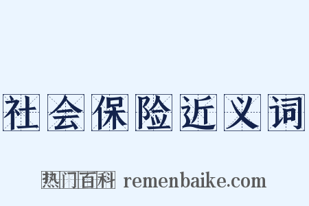 社会保险近义词是什么意思的图片